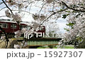 櫻花阪急列車 15927307