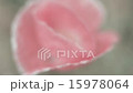 花4_60 15978064