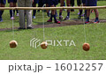 Bread eating competition 16012257