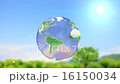 クリーンアース 16150034