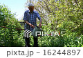 An elderly man pours from a watering flowers in a  16244897