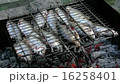 Grilled fish 16258401