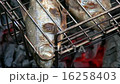 Grilled fish 16258403