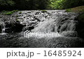 菊池渓谷 16485924