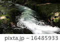 菊池渓谷 16485933