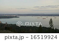 Vancouver Harbor Freighters Treee Stumps - 4k 16519924