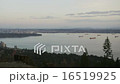 Vancouver Harbor Freighters Treee Stumps Bridge -  16519925