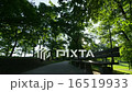 Park Path Morning Sun Trees Benches - 4k 16519933