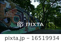Graffitti Wall in Park - 4k 16519934