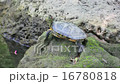 Mississippi Pond slider 16780818