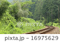 SL 16975629