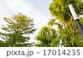 Evening Sky to Dark at Dusk : Time Lapse 17014235
