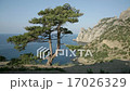Beautiful view of Blue bay from cape Kapchik 17026329