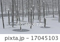 美瑛町　降雪の青い沼　02 17045103