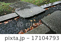 雨のしずく 17104793