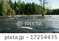 Natural landscape of Kymi in Finland, fast river w 17254435
