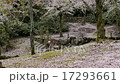 宮島の鹿 17293661