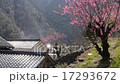 里山の春 17293672