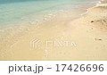 美麗的大海 17426696