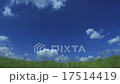 草原と空 17514419
