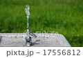 Faucet and water 17556812