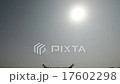 Landing 17602298