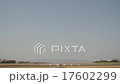 Landing 17602299