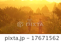 日落髮光紅色蜻蜓姐妹兄弟的步行在國家方式手拉手走 17671562