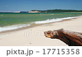 Driftwood and Dunes Surf Loop 17715358