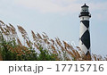 Cape Lookout Light and Sea Oats Loop 17715716