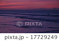 Pink Sky Surf Loop 17729249