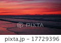 Fiery Surf Loop 17729396
