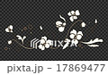花アニメーション20Ａ赤 17869477