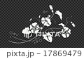 花アニメーション13Ａ 17869479