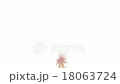 かぜに舞う紅葉 18063724