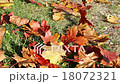 Autumnal maple leaves on the ground  18072321