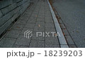 Fast movement the stone pavement.  18239203