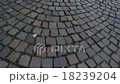 Fast movement the stone pavement.  18239204