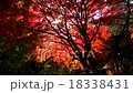 十勝的隕落 18338431