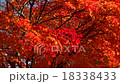 十勝的隕落 18338433