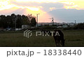 十勝的隕落 18338440