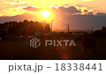 十勝的隕落 18338441