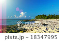 Picturesque Coast 18347995