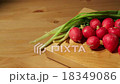 Onion leaves and radish 18349086