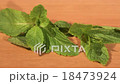 Green mint plant on a wooden table 18473924