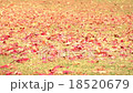 風に吹かれる落ち葉 18520679