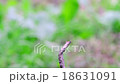 Interdiction 18631091