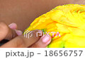 The Carving vegetables and fruits form Thailand 18656757