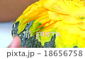 The Carving vegetables and fruits form Thailand 18656758