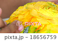 The Carving vegetables and fruits form Thailand 18656759